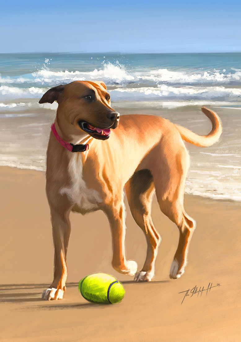 Portrait of a happy dog at the beach