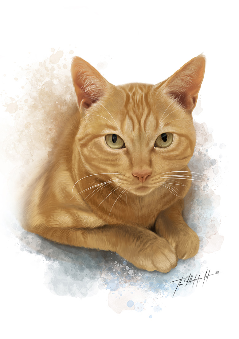 Portrait of a cat