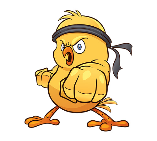 Ninja chicken